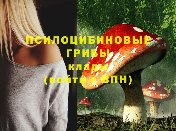 бутират Вяземский