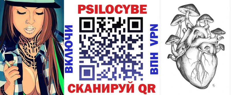 Псилоцибиновые грибы Psilocybine cubensis  Переславль-Залесский 
